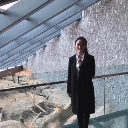 “云”游黄石市博物馆——找矿方法之矿物共生关系（七）