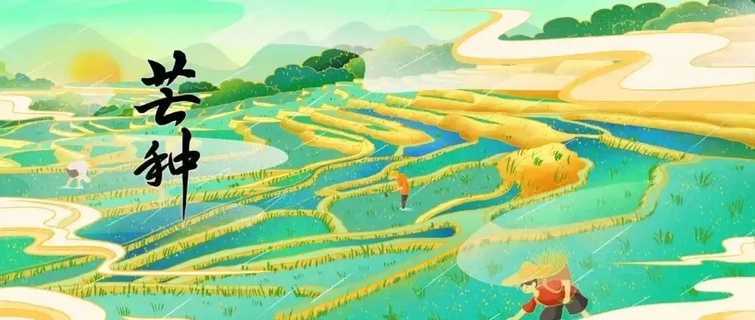 第2期云上讲厅之《二十四节气——芒种》