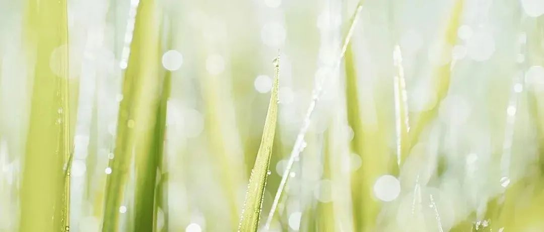 报名啦！第34期博学堂之《二十四节气——白露》